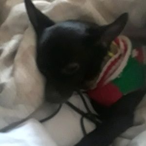 Meet your Posher, Monique